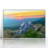 Acrylic print of Colorado Springs scenery in art deco style with pastel color palette, ideal for modern nursery wall decor.