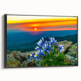 Black and white framed canvas of Colorado Springs landscape, suitable for bedroom decor.