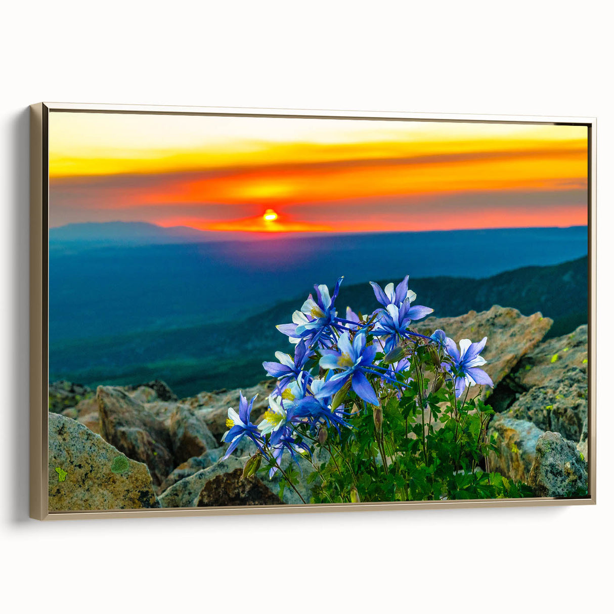 Framed canvas wall art featuring a vintage-style landscape painting of Colorado Springs with a black and gold color scheme.