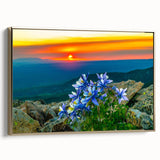Framed canvas wall art featuring a vintage-style landscape painting of Colorado Springs with a black and gold color scheme.