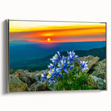 Landscape art painting of Colorado Springs with vibrant colors on a framed canvas, suitable for living room decor.