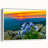 Vintage poster art of Colorado Springs on extra large framed canvas, featuring colorful art with black accents.