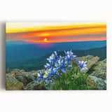 Black and white photograph of Colorado Springs on stretched canvas, ideal for kitchen wall art.