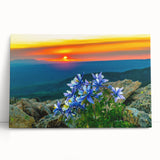 Black and white panoramic photo of Colorado Springs on stretched canvas.