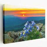 Large canvas print of Colorado Springs landscape in muted earth tones, ideal for kitchen wall art.
