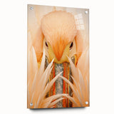 Acrylic print of the Everglades with vivid greens and blues, suitable for bedroom or dining room decor.