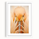 Abstract art print of the Everglades in muted green and blue tones, framed with a white mat, suitable for dining room decor.