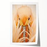 Rolled print of the Everglades with detailed greenery and water reflections, ideal for art wall dining room.