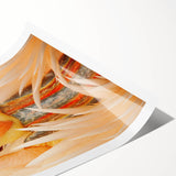 Extra large wall art featuring line art flowers in a scenic Everglades setting, perfect for large living room decor.