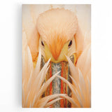 Black and white photograph of the Everglades on stretched canvas, suited for kitchen wall art.