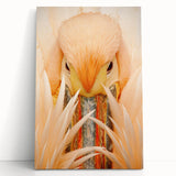 Black and white stretched canvas of USA Everglades scenery, ideal for kitchen wall art or bedroom ambiance.