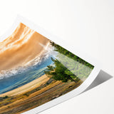 Extra large rolled print featuring line art flowers in muted green and white, ideal for large living room wall art.