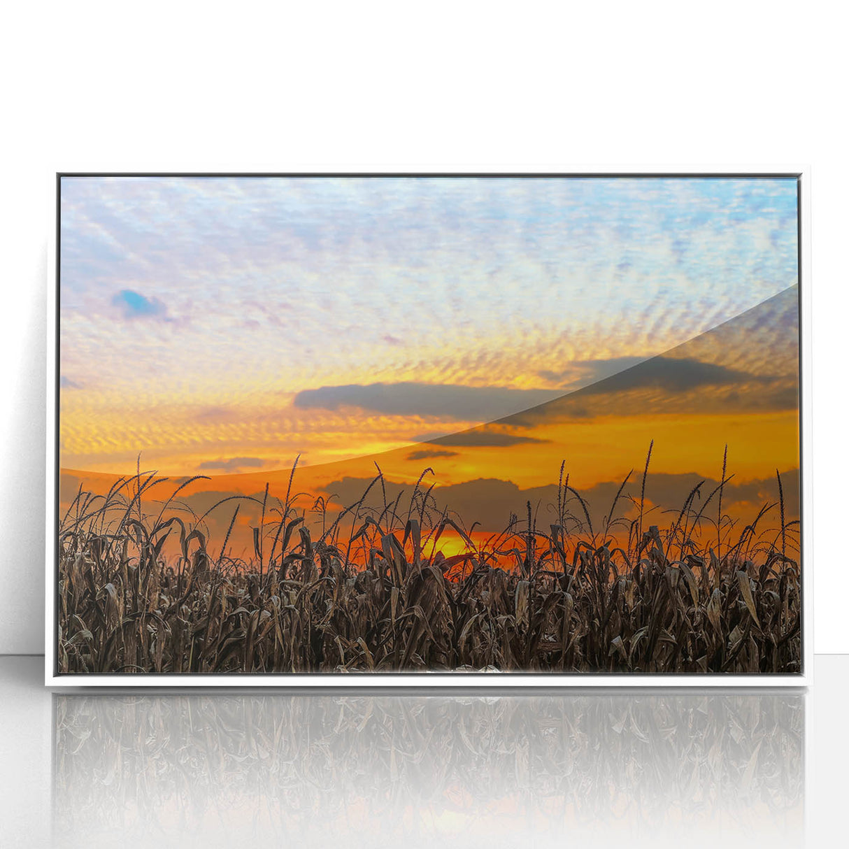 Acrylic print of Indiana scenery featuring art deco style with a white frame, suitable for modern nursery wall decor.
