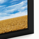 Close-up of a textured Iowa landscape on extra large framed canvas, featuring black and colorful art.