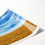 Extra large wall art featuring line art flowers in monochrome, rolled print format, ideal for large living room decor.