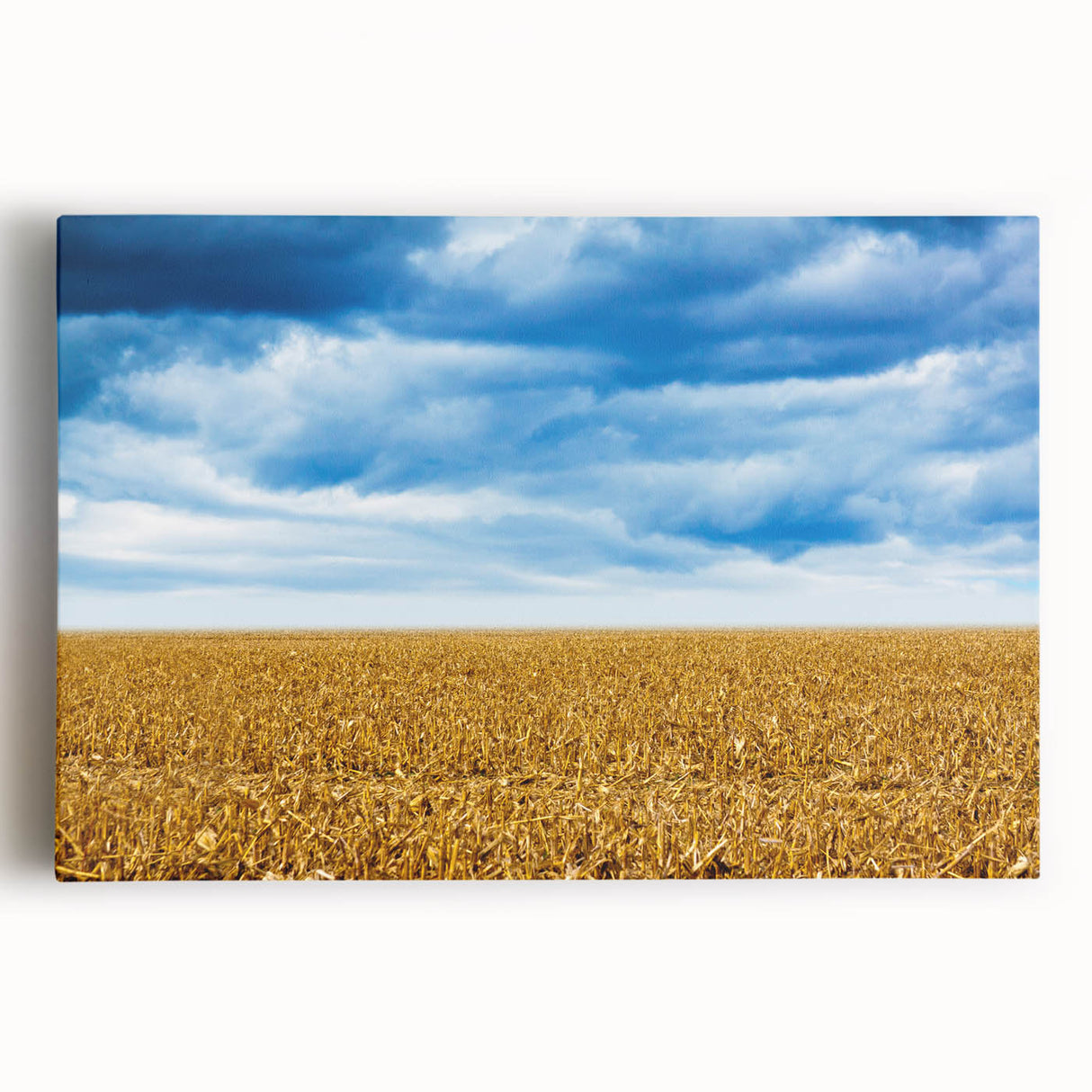 Black and white photograph of a serene Iowa landscape on stretched canvas, ideal for kitchen wall art.