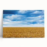 Black and white photograph of a serene Iowa landscape on stretched canvas, ideal for kitchen wall art.