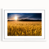 Abstract art print of Kansas scenery in muted earth tones on a white framed mat, suitable for bedroom or dining room decor.