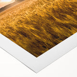 Art deco poster featuring a vibrant and colorful Kansas scenery on a rolled canvas, suitable for dining room wall art.