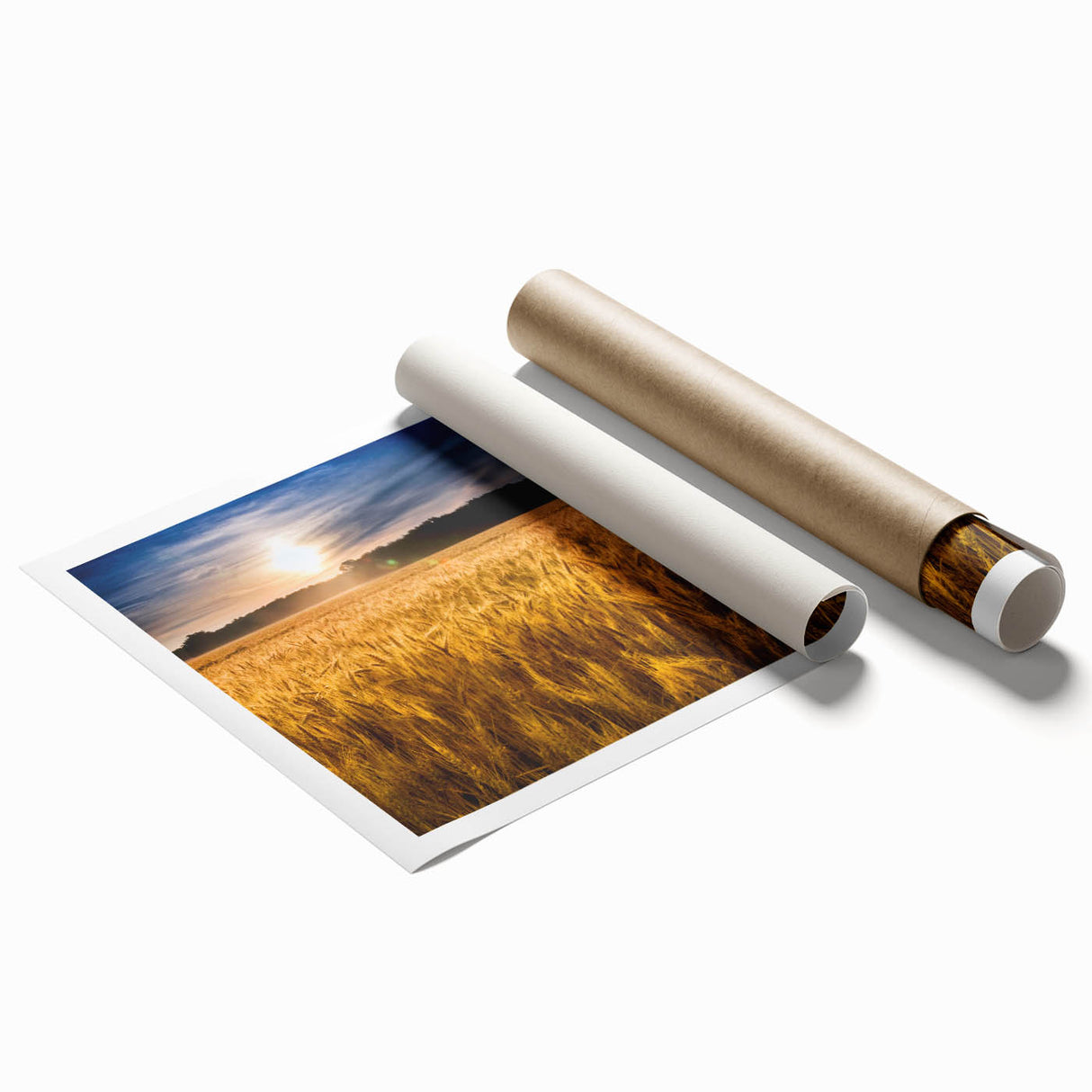 Extra large rolled canvas print depicting a vibrant floral scene, ideal for classy bathroom wall art.