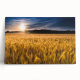 Black and white photo of Kansas scenery on a large stretched canvas, ideal for kitchen wall art or bedroom ambiance.