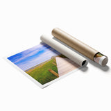 Extra large rolled print of a Louisiana scenery with vibrant floral elements, ideal for classy bathroom wall art.