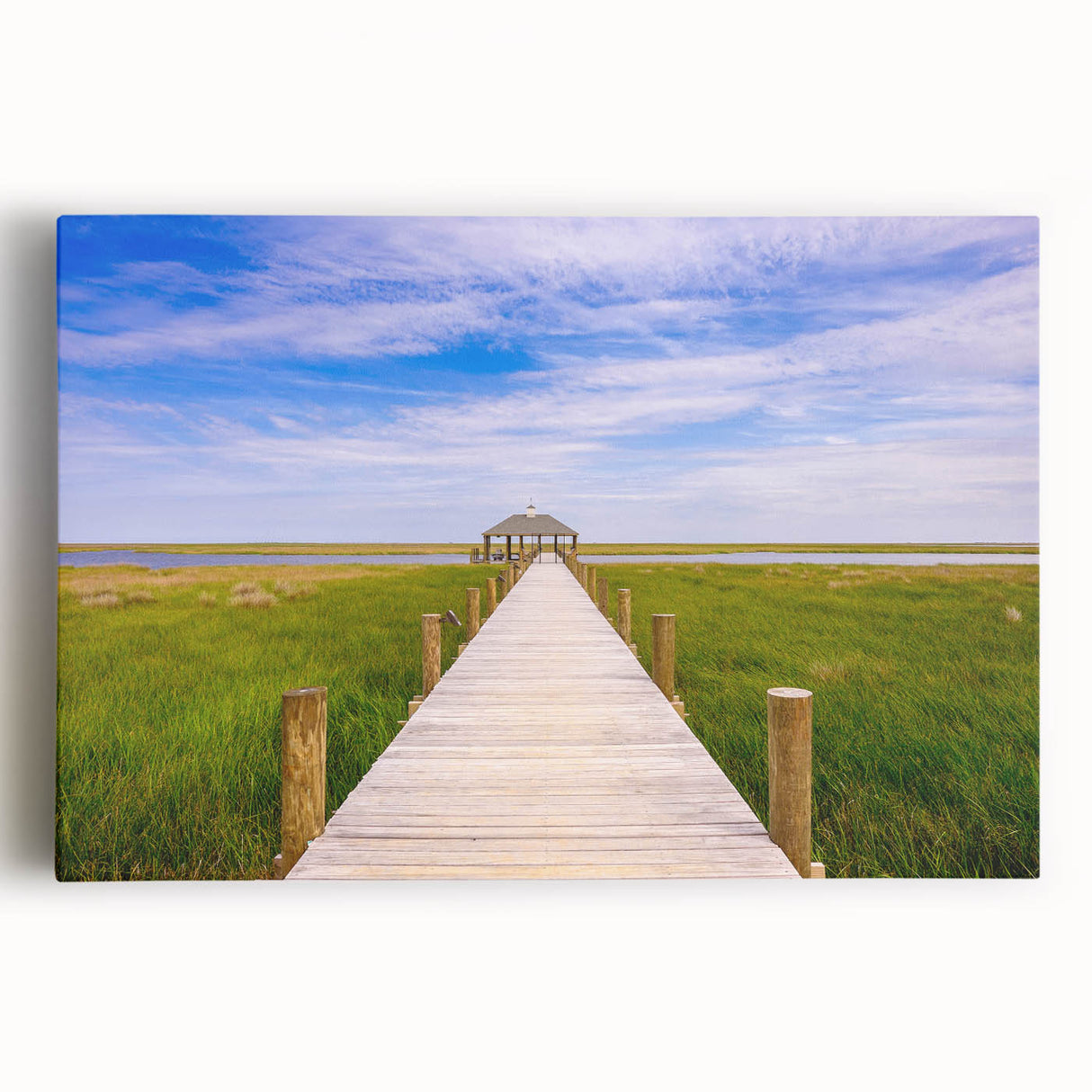 Black and white photo of Louisiana scenery on large stretched canvas, suitable as kitchen wall art.