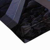 Large art depicting a Maine landscape in black and white on stretched canvas, suitable for bedroom decor.