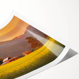 Extra large rolled print of line art flowers in black and white, ideal for large living room wall art.