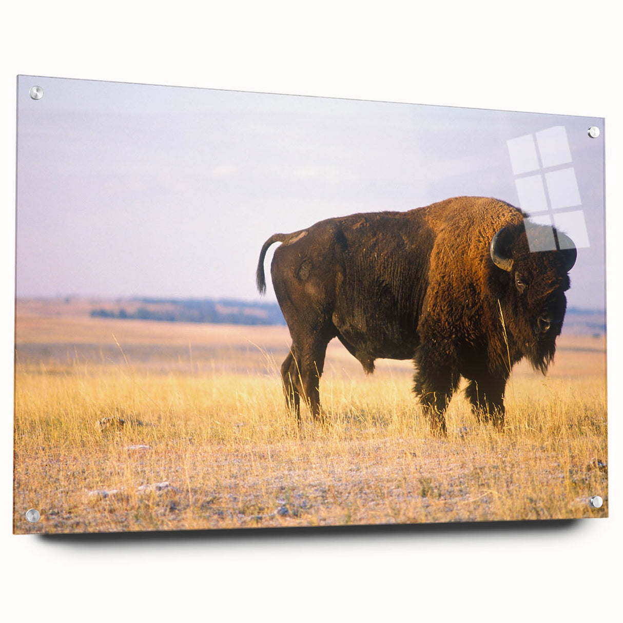 Large abstract wall art of Nebraska landscape on acrylic glass, with muted earth tones.