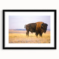 Extra large abstract art print of a textured Nebraska landscape in vibrant colors, framed in black.