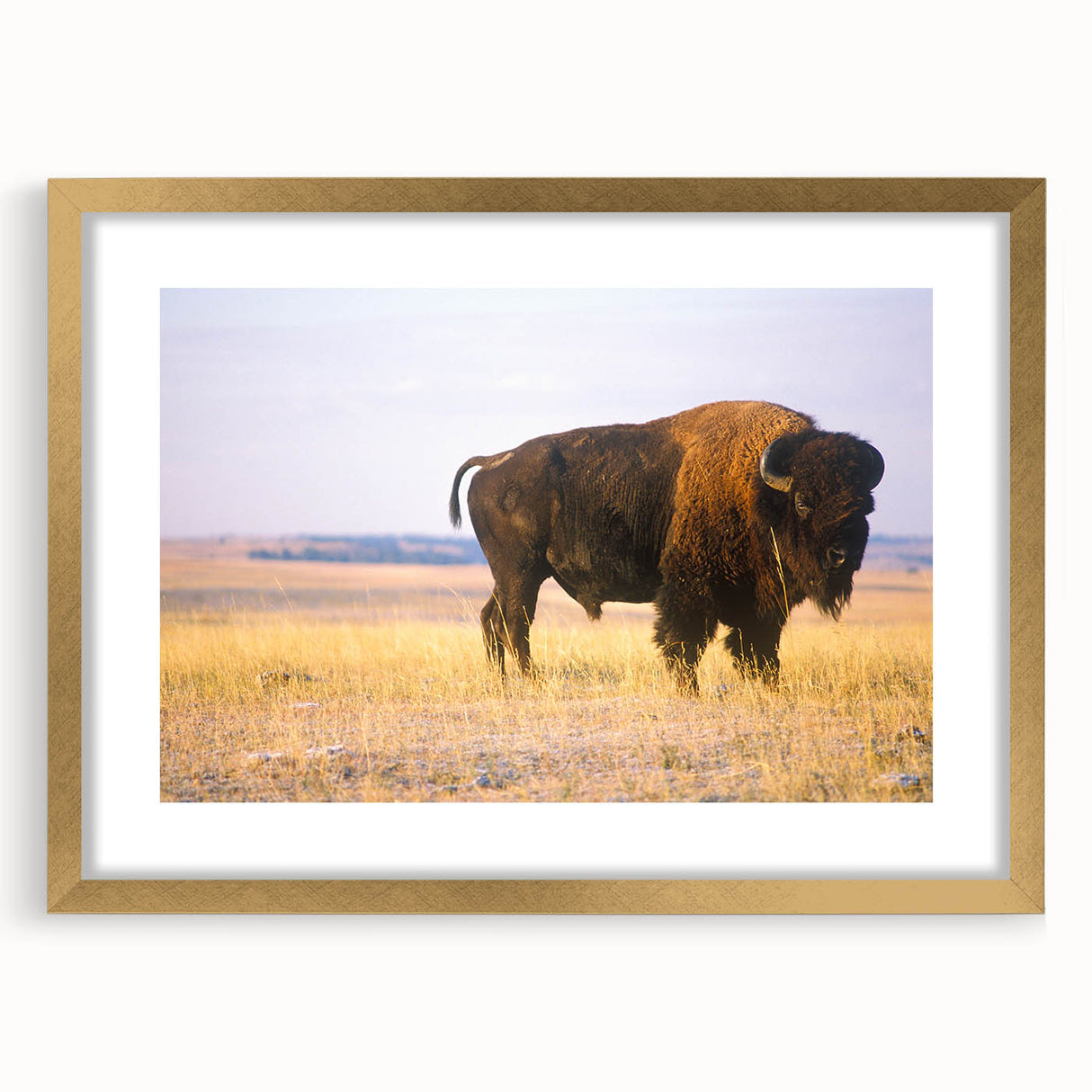 Extra large abstract art print of a textured Nebraska landscape in gold frame, ideal for living room decor.