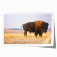 Extra large rolled print of Nebraska scenery with muted green and brown tones, suitable for dining room wall art.