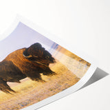 Extra large wall art featuring line art flowers in muted earth tones on rolled canvas, ideal for large living room decor.