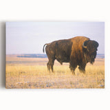 Black and white photograph of a Nebraska landscape on large stretched canvas, ideal for kitchen wall art.
