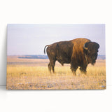 Black and white photograph of a Nebraska landscape on stretched canvas, ideal for kitchen wall art.