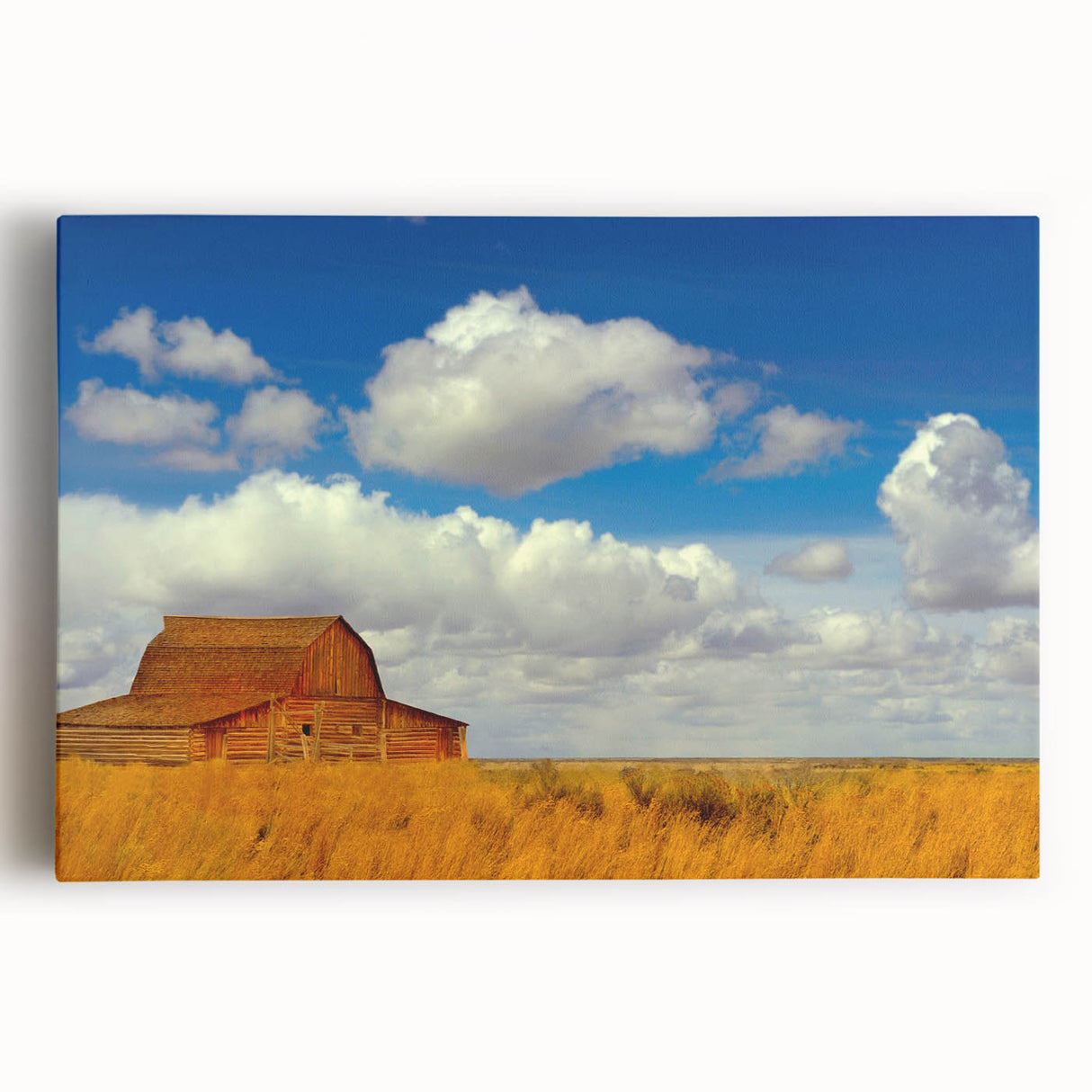 Black and white large art print of New Mexico scenery on stretched canvas, suitable for kitchen wall art.