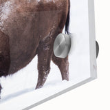 Large abstract wall art depicting North Dakota scenery in mid-century modernist style on acrylic glass.