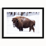 Extra large framed abstract art print depicting a textured, colorful North Dakota scenery, ideal for living room decor.