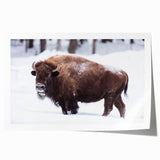 Rolled print of North Dakota scenery with vibrant green and blue tones, ideal for art wall dining room.