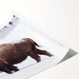 Extra large rolled print featuring line art flowers in neutral tones, ideal for large living room wall art.