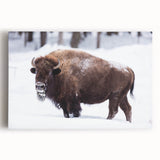 Black and white stretched canvas of North Dakota scenery, ideal for kitchen wall art.