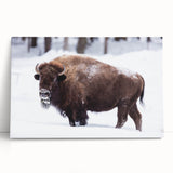 Black and white stretched canvas featuring a serene North Dakota landscape, ideal for kitchen wall art or bedroom decor.