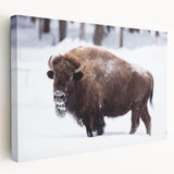 Scenic North Dakota landscape on stretched canvas, featuring earthy tones and wide, open fields, ideal for kitchen wall art.