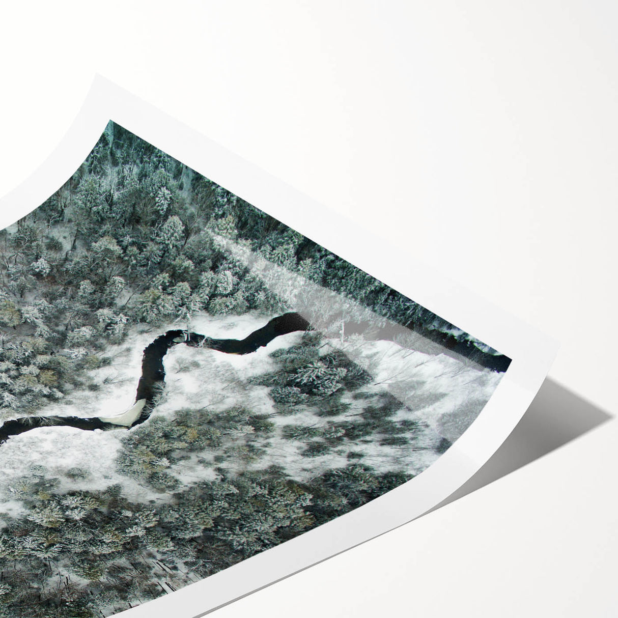 Extra large wall art featuring line art flowers in muted earth tones on a rolled canvas.