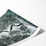 Extra large wall art featuring line art flowers in muted earth tones on a rolled canvas.