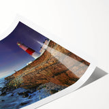 Extra large wall art featuring line art flowers in monochrome, rolled print, ideal for large living room decor.