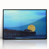 Large abstract wall art featuring a South Carolina scenery in black and white tones on a framed acrylic.