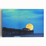 Black and white photo of South Carolina scenery on large stretched canvas, suitable for kitchen wall art.