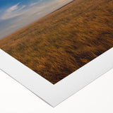 Art deco poster of South Dakota scenery on rolled canvas, featuring muted earth tones, ideal for dining room wall art.